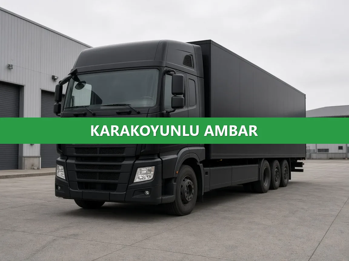 Karakoyunlu Ambar